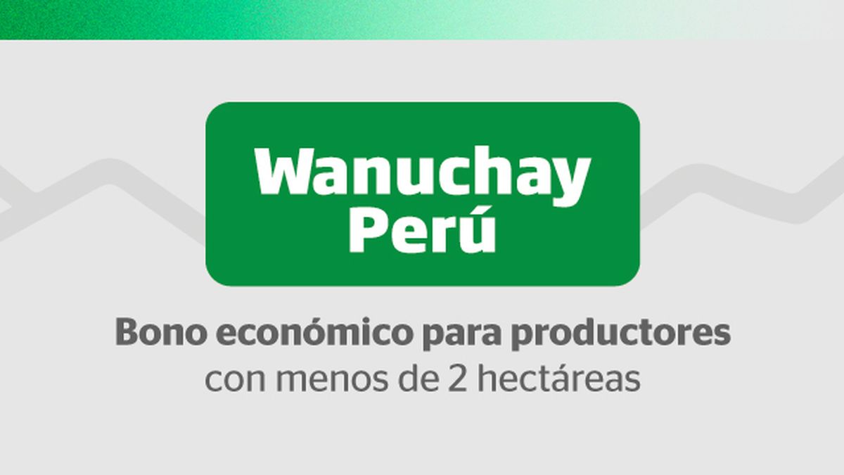 Bono Wanuchay 2023 Link De Consulta Con DNI Mira Si Eres Beneficiario