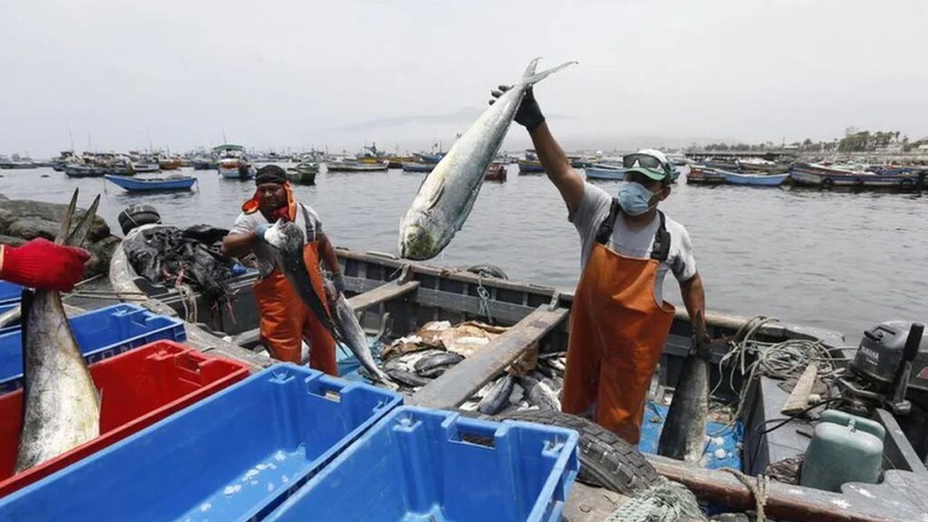 Bono del Pescador Artesanal 2023: revisa el monto a pagar a los beneficiarios
