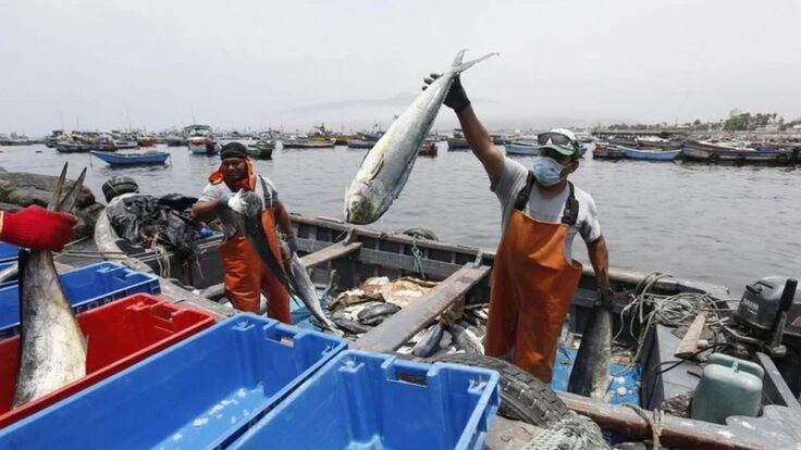 Bono del Pescador Artesanal 2023: revisa el monto a pagar a los beneficiarios