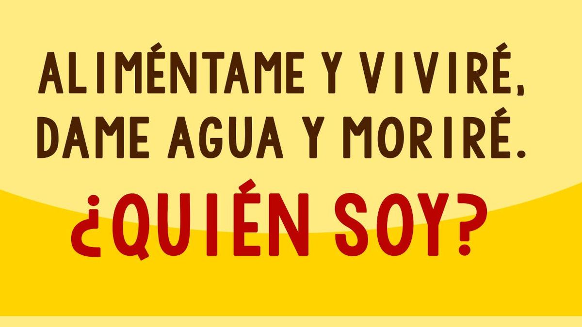 Aliméntame y viviré, dame agua y moriré: quién soy [Respuesta de