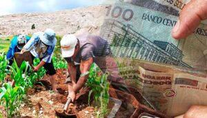 Fertiabono 3 link y consulta con DNI: ¿mira cómo saber si calificas para el subsidio del Midagri?