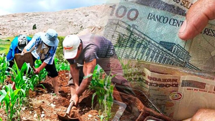 Bono de 800 soles a Agricultores: ¿de qué trata este nuevo subsidio?