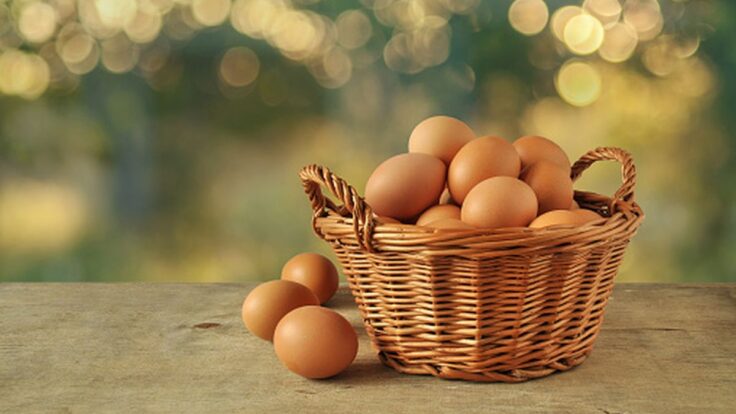 Acertijo de los huevos: Si tuviera 4 huevos y un ladrón me lleva 3 y el gallo de mi casa pone 5 [respuesta]