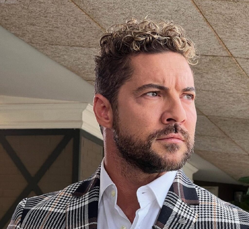 David Bisbal