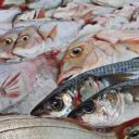 ¿Por qué se come pescado en Semana Santa 2023?