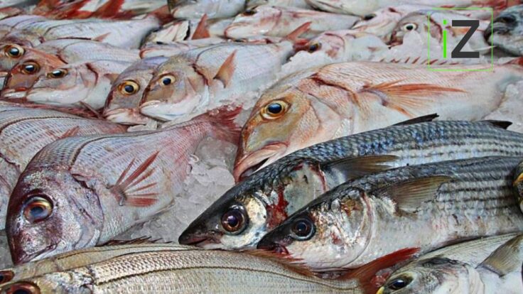 ¿Por qué se come pescado en Semana Santa 2023?